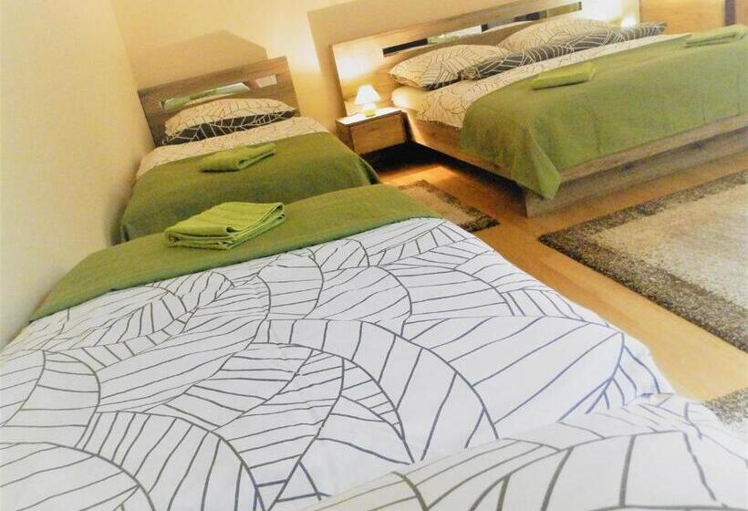 酒店 Bartók Tér Panzió