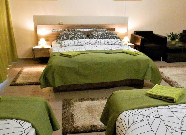 酒店 Bartók Tér Panzió