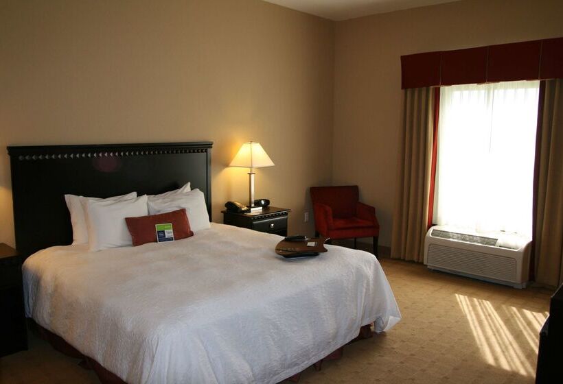 בית מלון כפרי Hampton Inn Dade City Zephyrhills