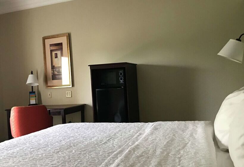 هتل Hampton Inn Vidalia