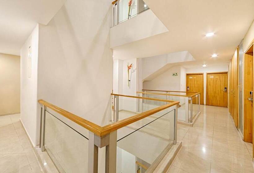 Basic Hotel Centenario By Hoteles Ms