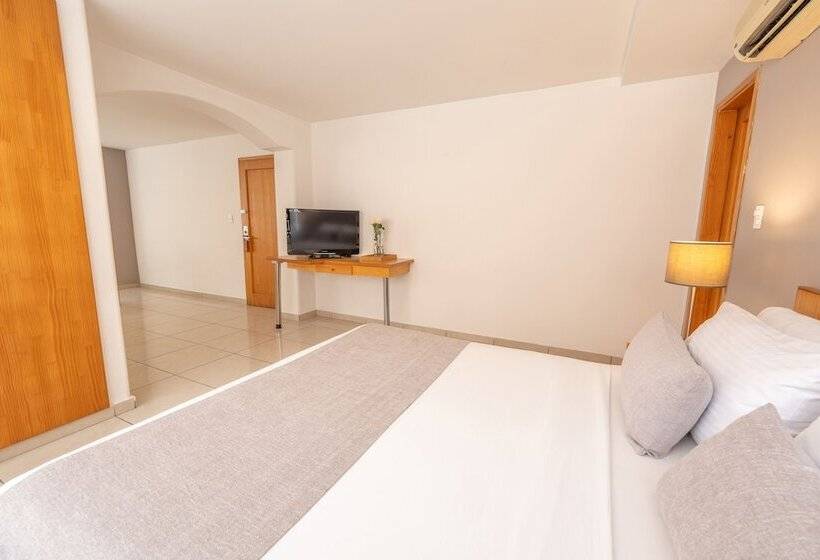 Basic Hotel Centenario By Hoteles Ms