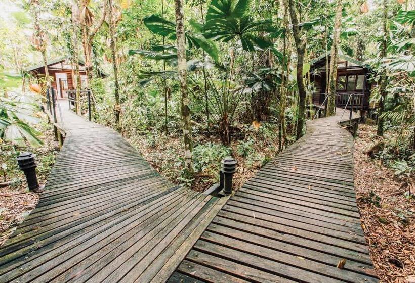 호텔 Daintree Wilderness Lodge