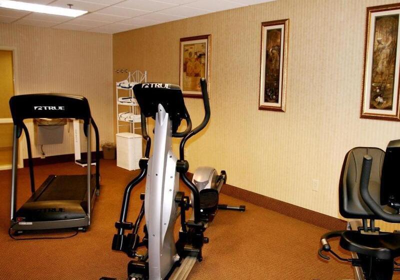فندق Hampton Inn Manning