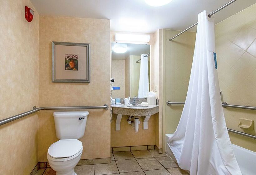 ホテル Hampton Inn Pine Grove