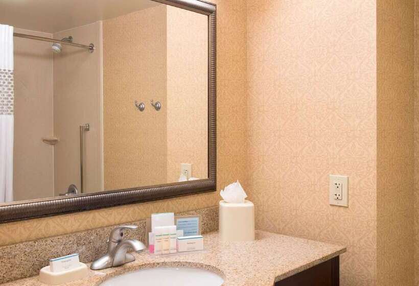 فندق Hampton Inn Schenectady Downtown