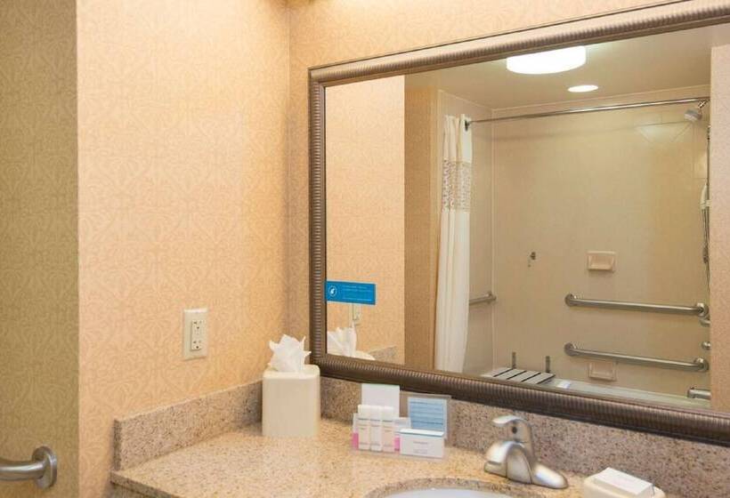 فندق Hampton Inn Schenectady Downtown