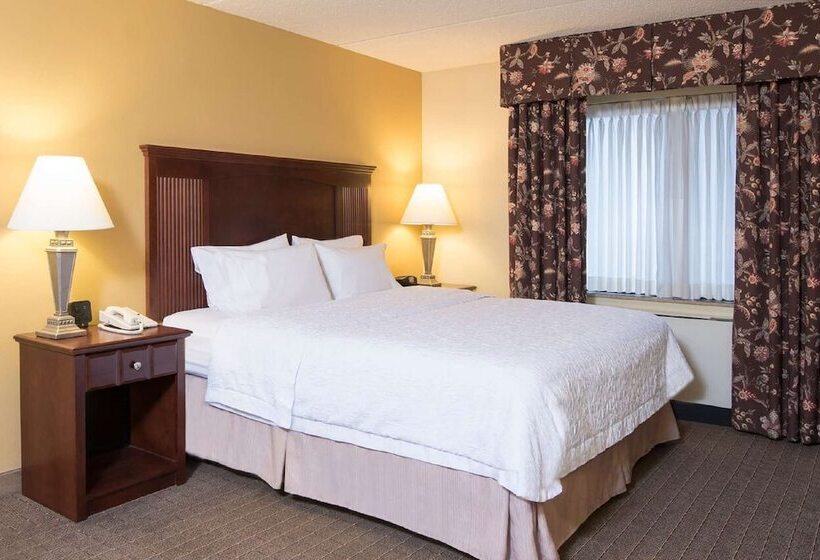 فندق Hampton Inn Schenectady Downtown