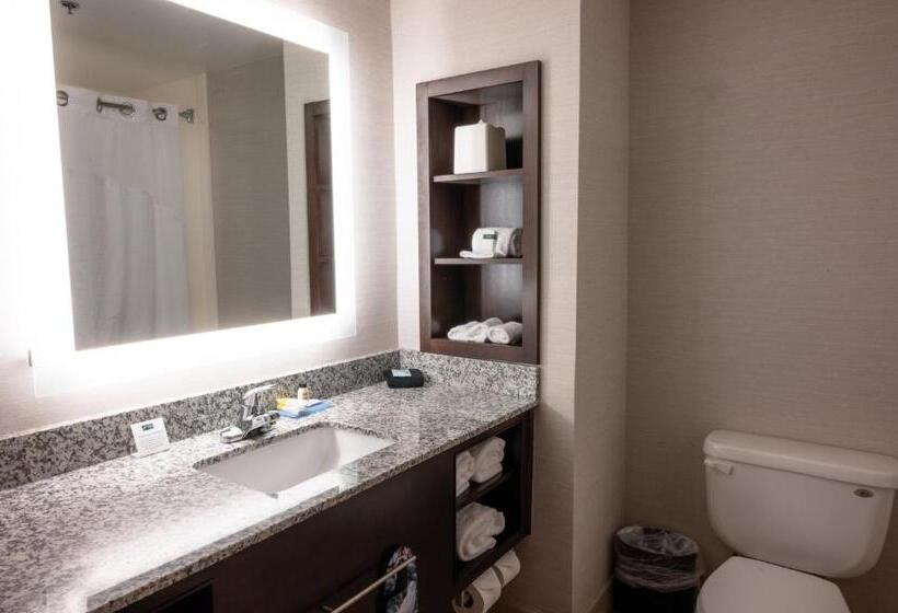 هتل Holiday Inn Express & Suites   Tuscaloosa University, An Ihg