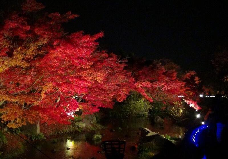 مبيت وإفطار Kaze No Tani No Iori