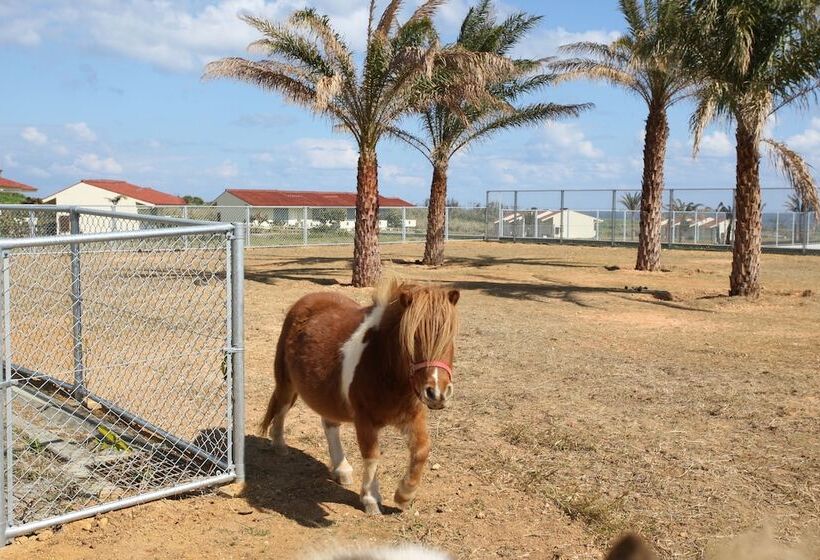 فندق Aj Resort Island Ikeijima