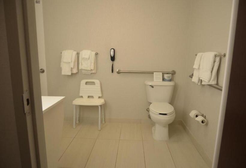 Holiday Inn Express Hotel & Suites Rochester, An Ihg