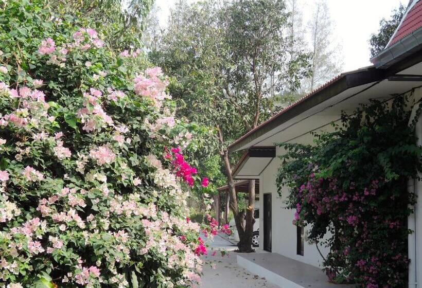 هتل Mango Spa & Resort