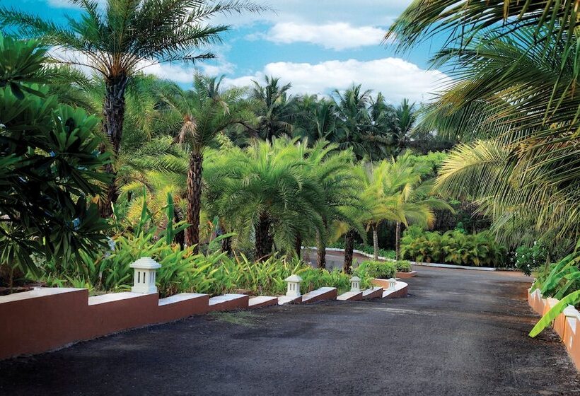 Отель Blue Ocean The Fern Resort & Spa Ganpatipule