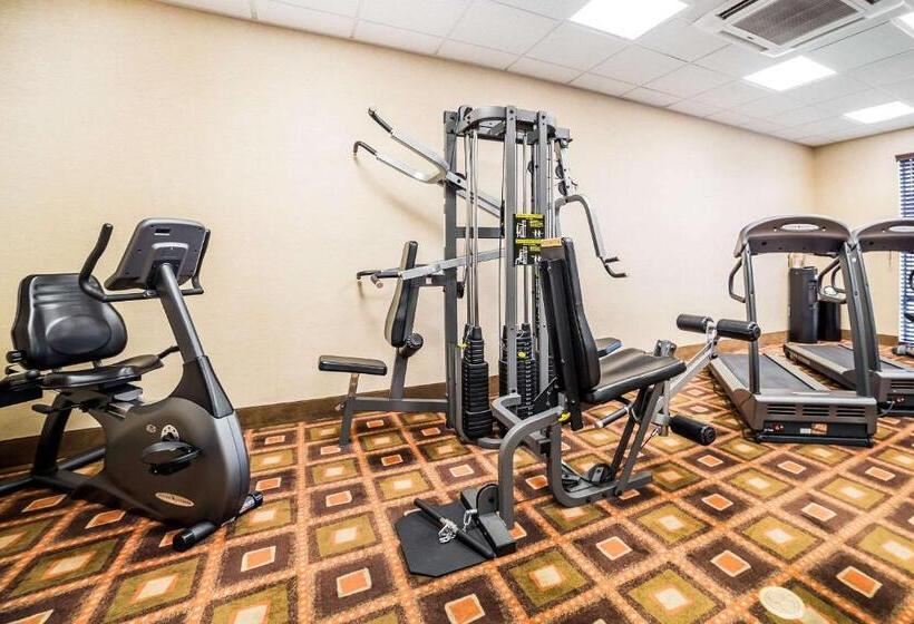هتل Comfort Inn & Suites Henderson  Las Vegas