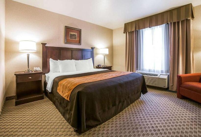 هتل Comfort Inn & Suites Henderson  Las Vegas