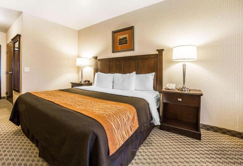 هتل Comfort Inn & Suites Henderson  Las Vegas