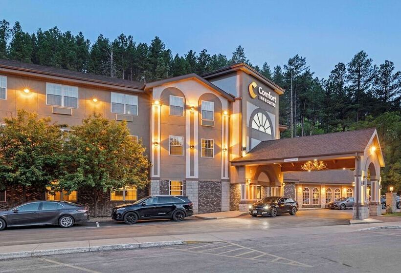 هتل Comfort Inn & Suites Mt. Rushmore