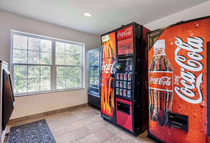 هتل Comfort Inn & Suites Mt. Rushmore