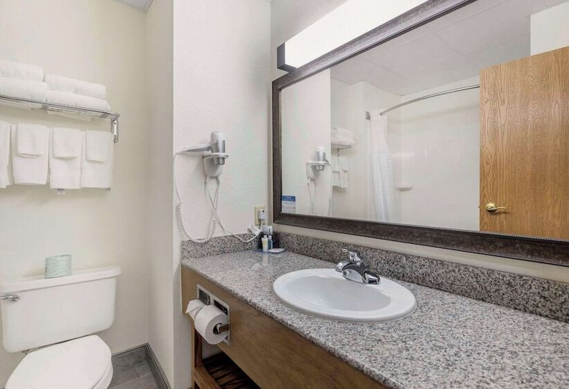 هتل Comfort Inn & Suites Mt. Rushmore