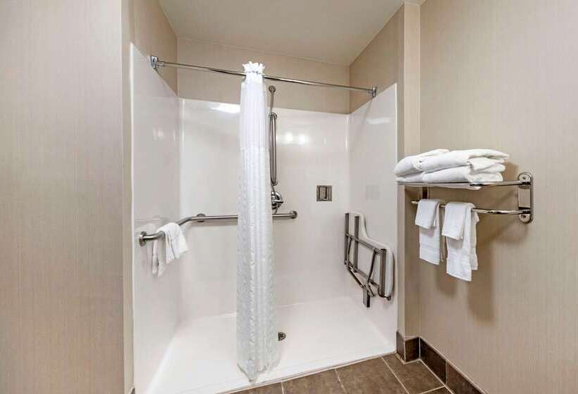 בית מלון כפרי Comfort Inn & Suites Oklahoma City West  I40
