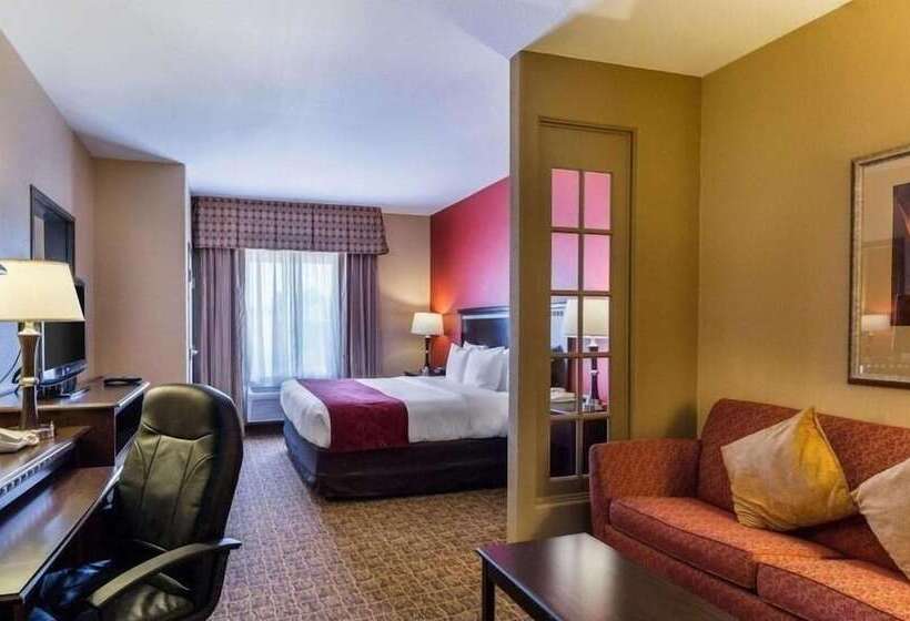 هتل Spark By Hilton Pearland