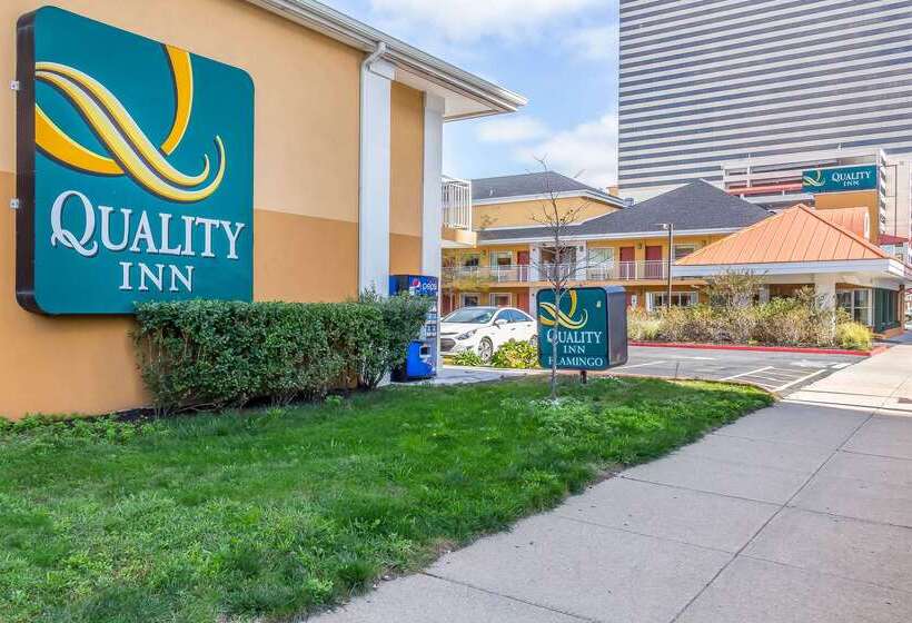 هتل Quality Inn Flamingo