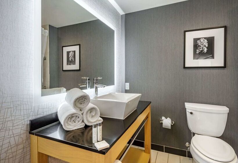 Cambria Hotel Minneapolis Maple Grove