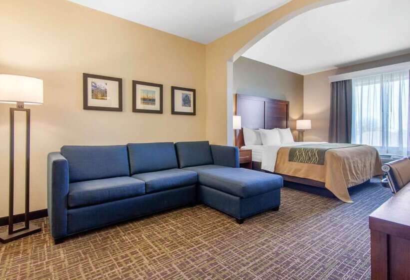 בית מלון כפרי Comfort Inn & Suites Norman Near University