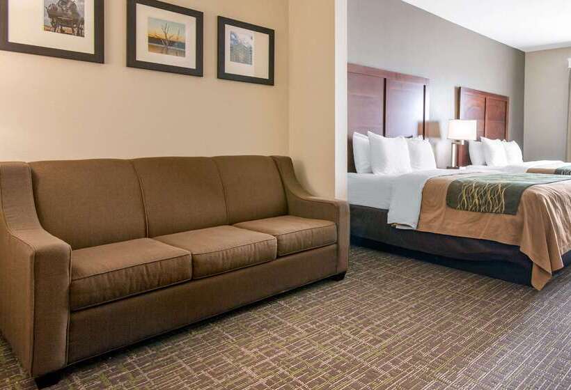 בית מלון כפרי Comfort Inn & Suites Norman Near University