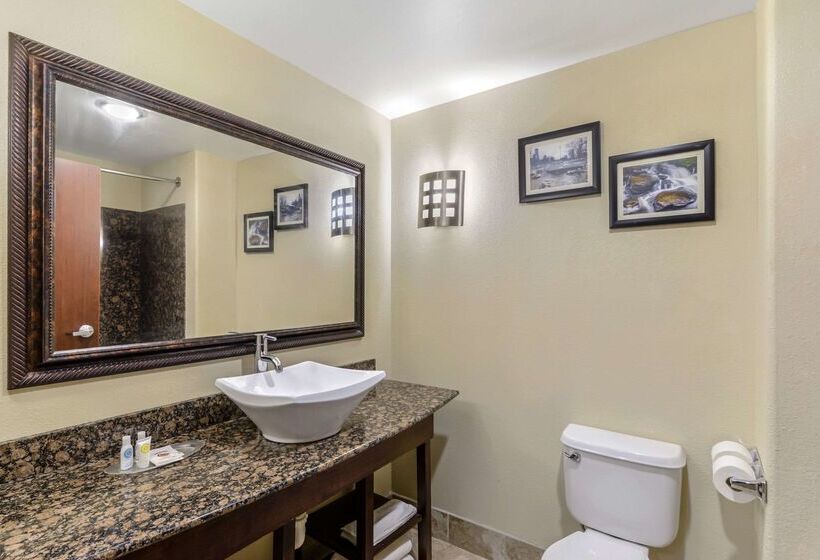 هتل Comfort Suites At Kennesaw State University