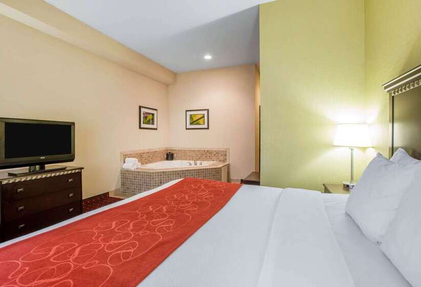 בית מלון כפרי Comfort Suites Locust Grove Atlanta South