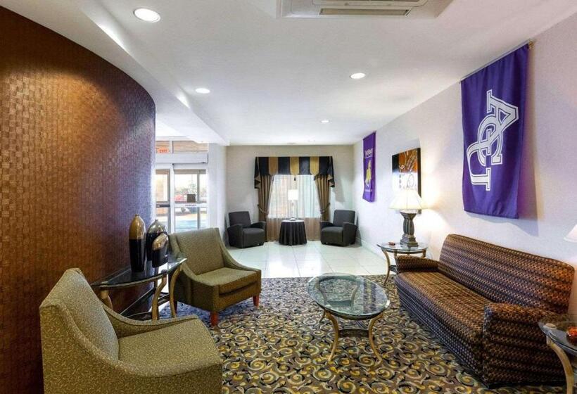 בית מלון כפרי Comfort Suites University