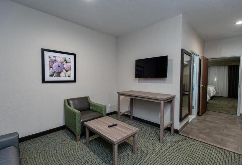 Holiday Inn Express Hotel And Suites Port Aransas/beach Area, An Ihg