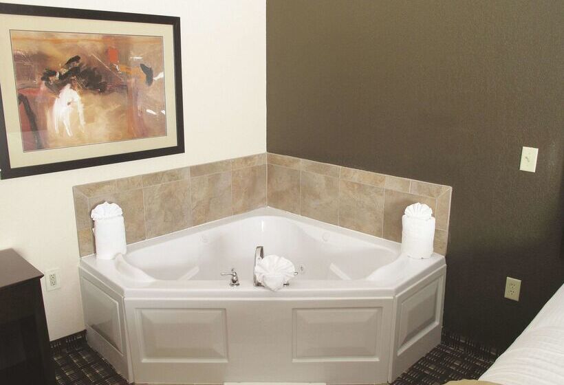 هتل La Quinta By Wyndham Macon West