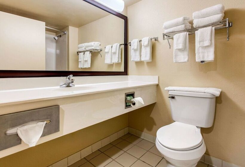 هتل Quality Inn & Suites