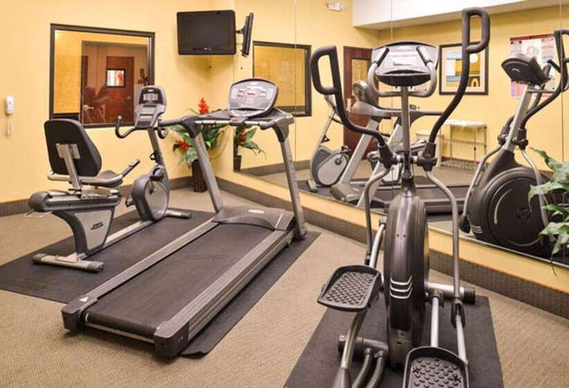 هتل Sleep Inn And Suites Downtown Houston