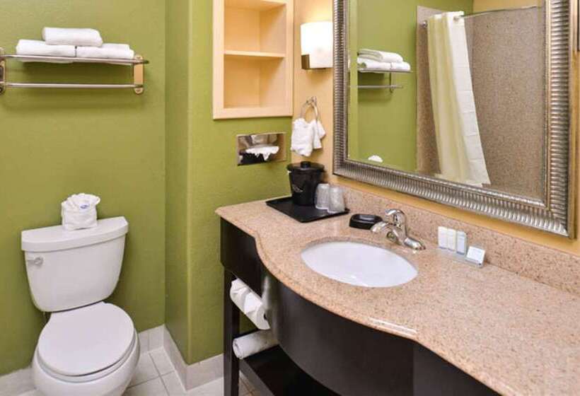 هتل Sleep Inn And Suites Downtown Houston