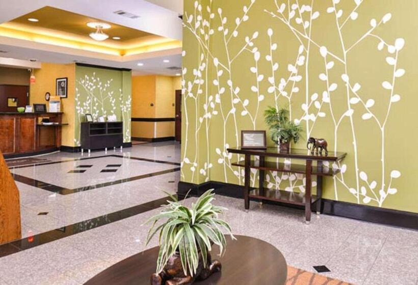 هتل Sleep Inn And Suites Downtown Houston