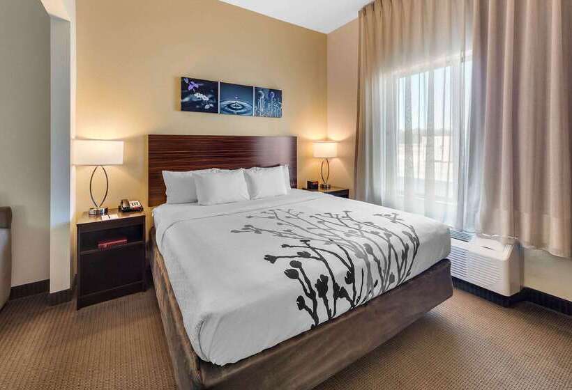בית מלון כפרי Sleep Inn & Suites Norman Near University