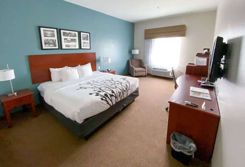 هتل Sleep Inn And Suites Pearland   Houston South