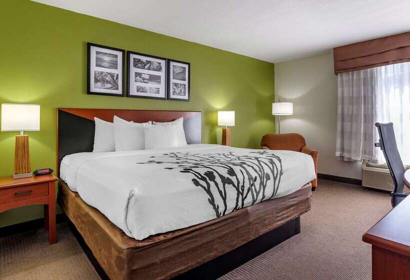 בית מלון כפרי Sleep Inn & Suites Stockbridge Atlanta South