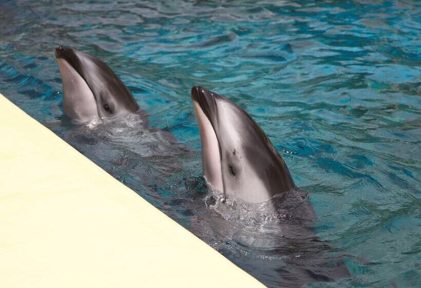 酒店 Toyoko Inn Fujisan Numazu-eki Kita-guchi No.2