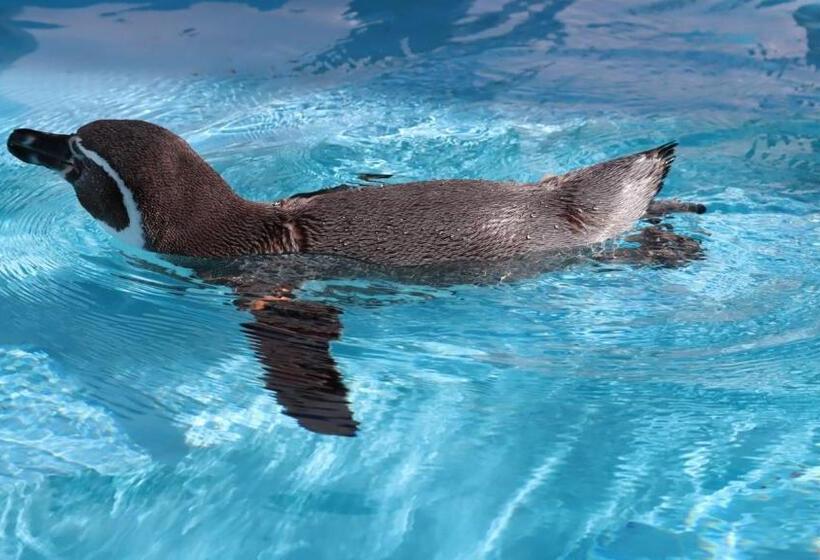 酒店 Toyoko Inn Musashi-Nakahara Ekimae