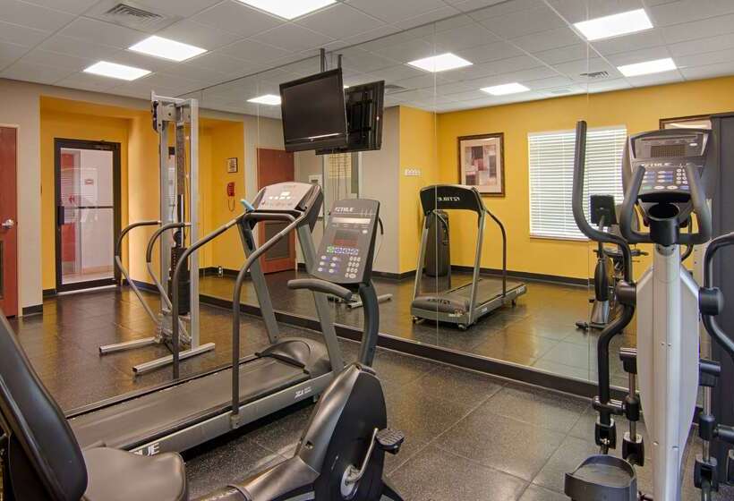 בית מלון כפרי Best Western Auburndale Inn & Suites