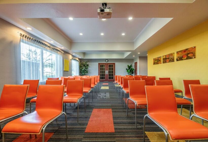 בית מלון כפרי Best Western Auburndale Inn & Suites