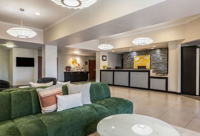 בית מלון כפרי Best Western Auburndale Inn & Suites