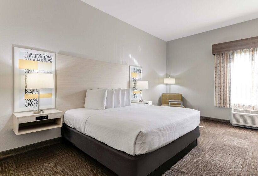 בית מלון כפרי Best Western Auburndale Inn & Suites