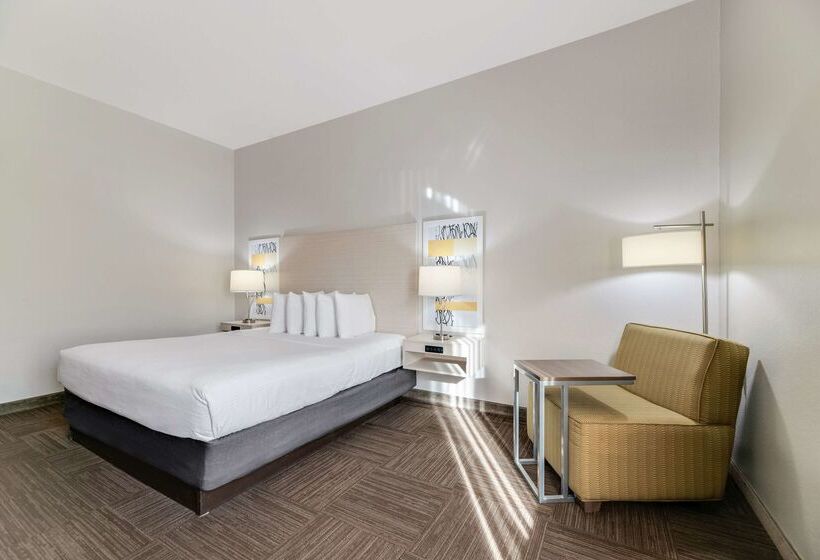 בית מלון כפרי Best Western Auburndale Inn & Suites