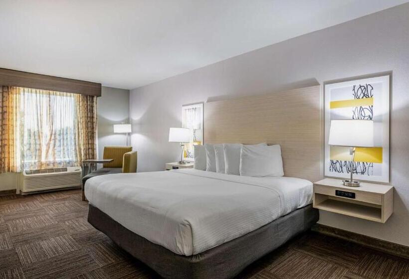 בית מלון כפרי Best Western Auburndale Inn & Suites